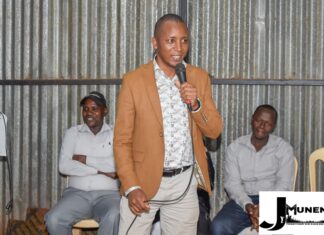 Building a Wiser Mt. Kenya: From Emotions to Empowerment